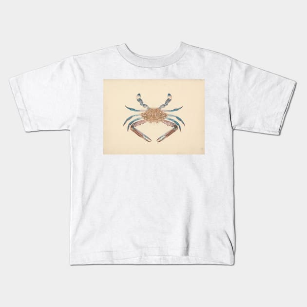 Portunua pelagicus (Blue Crab) by Luigi Balugani Kids T-Shirt by Classic Art Stall